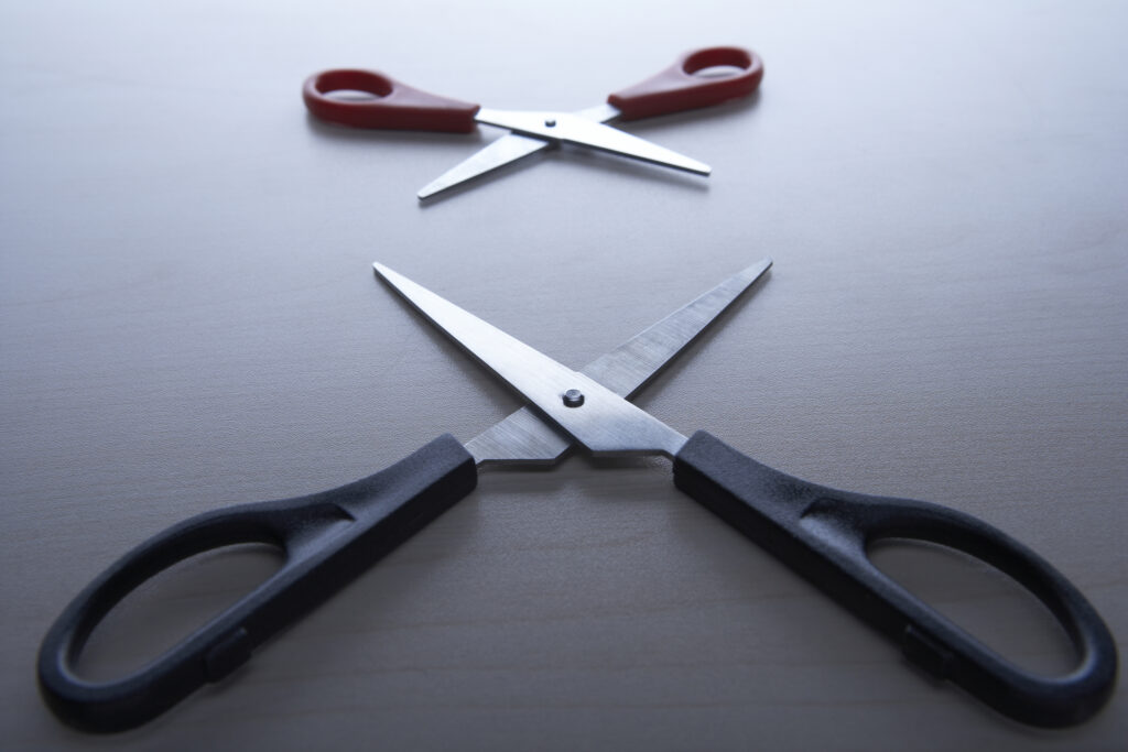 scissors-the-everyday-option