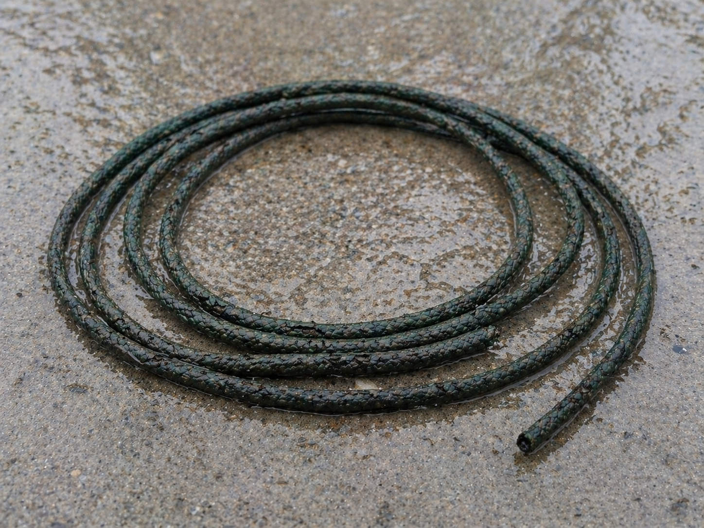 A close-up of an old, weathered piece of green fuse coiled on a damp concrete surface, showing signs of potential environmental damage.